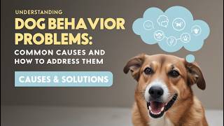 Top Reasons for Dog Behavior Problems and How to Fix Them