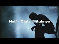 Download Lagu Naif - Cinta Untuknya (Lirik)