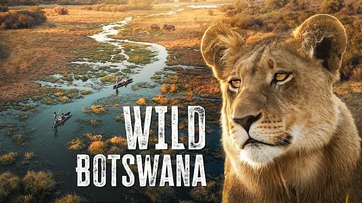 THIS Is the African Safari to Go On | Botswana’s Okavango Delta thumbnail