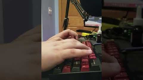 Tofu Holy Panda Typing Test Short