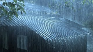 Sleep Well with the Rhythm of Showers & Thunder Resounding on the Metal Roof in the Night Forest