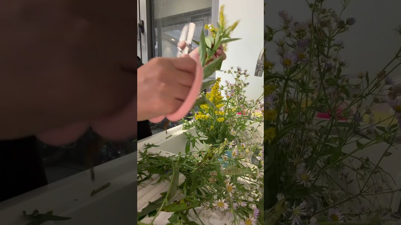 Garden scissors，with a spike removal design, can quickly remove excess leaves or thorns. 