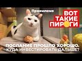 Послание Президента прошло хорошо. Куда инвестировать дальше?