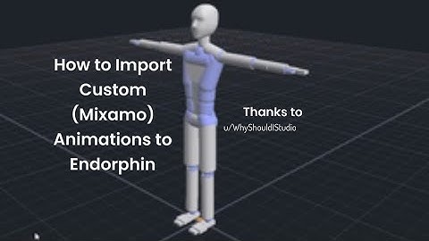 How to Import Mixamo Animations to Endorphin