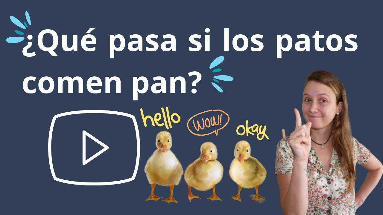 ¿QUÉ PASA SI LOS PATOS COMEN PAN? ¿ES CIERTO QUE LES PUEDO DAR PAN INTEGRAL?