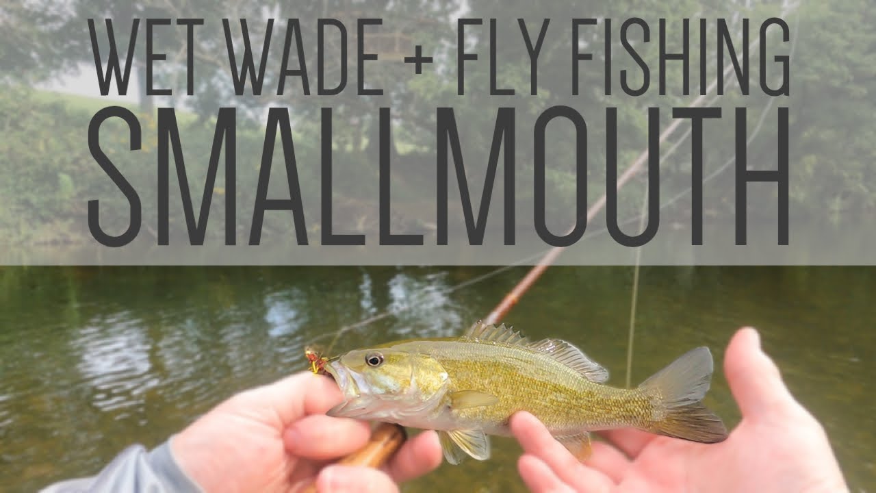 Summer Wet Wade Fly Fishing for Ozarks Smallmouth Bass 