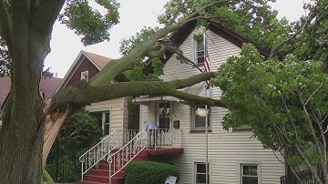 McKinley Park homeowners weigh options after storm causes tree to crash into 3 South Side homes
