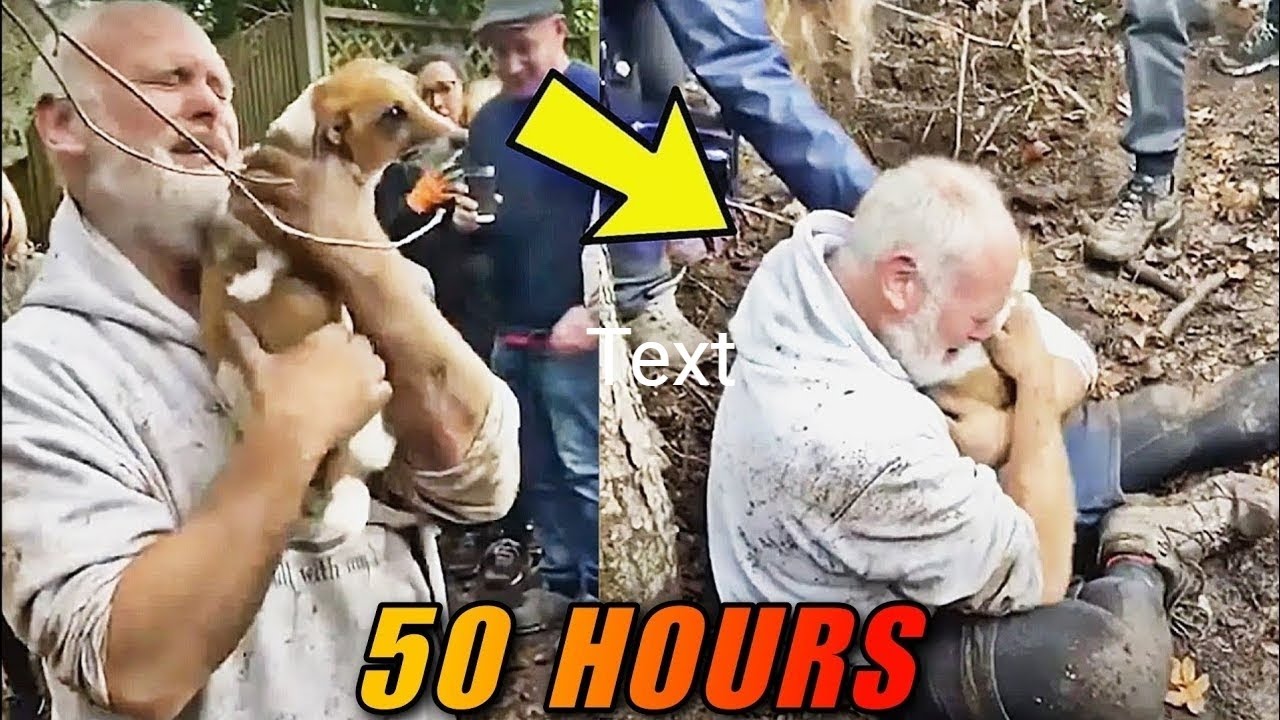 Dog Owner Reunites With Pet After 50 Hours - YouTube