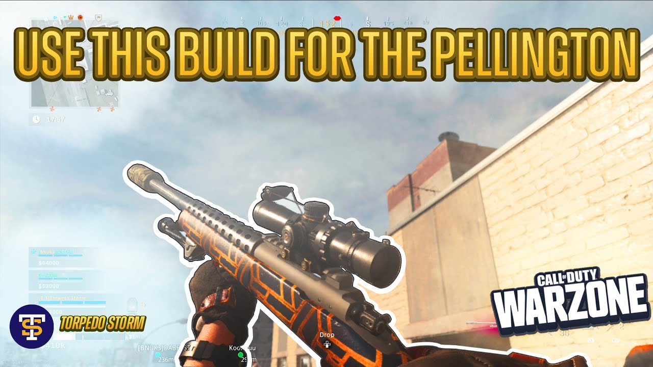 Use THIS BUILD for the Pellington sniper rifle
