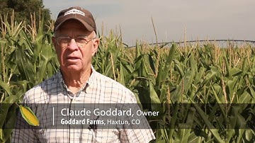 Goddard Farms on Growing Corn with Hortau Irrigation Management Systems