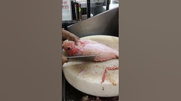 golden red snapper fish clean skills#youtubeshorts #viral #shorts