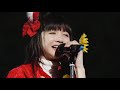 『ヒマワリと星屑』