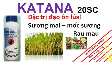 Katana 20SC thuốc trừ bệnh trên cây lúa | chi tiết sản phẩm | Fenoxanil | nấm đạo ôn hay nhất |