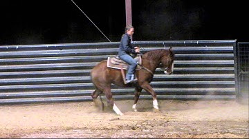 Spectacular Jewels - Spec - 11/7/12 sorting practice - warming up - Valley View Ranch