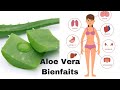 Aloe vera bienfaits   8 bienfaits  pour la sant du jus daloe vera  sante naturelle