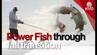 What do you look for when fall fishing? The ONE constant to FIND FISH.