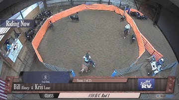 Big Sky Ranch Sorting Saddle Series #3 - #10 H/C - Round #1 - Ride #7