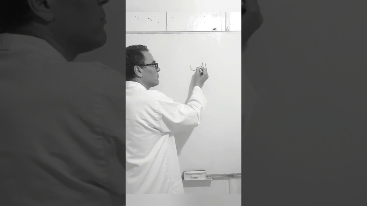 ايمانك بفكرة النجاح هي من تدفعك للحصول على البكالوريا بمعدل مرتفع
