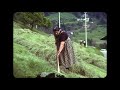 Digital Video & Bild: S8-Film - Heuernte Südtirol 1984