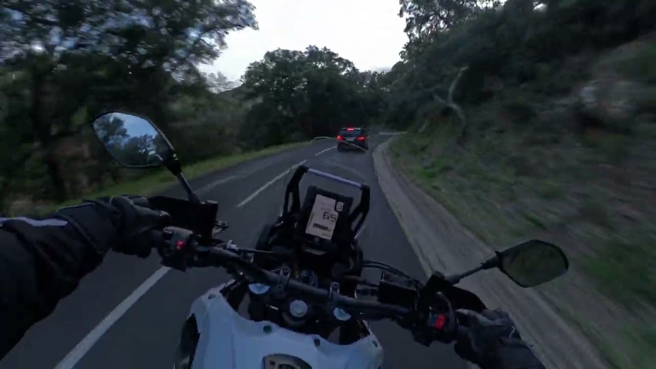 TENERE 700 AKRAPOVIC | ASMR - Forest Ride POV [4K]