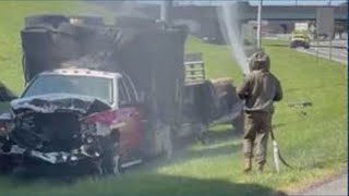 Truck carrying roughly 1 million bees overturns on Tennessee freeway