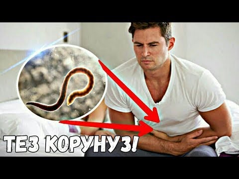 Video: Кайсы курт мегалобластикалык анемияны пайда кылат?