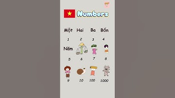 Learn Vietnamese everyday |How to say Numbers | Vocabulary #learnvietnamese #easyvietnamese