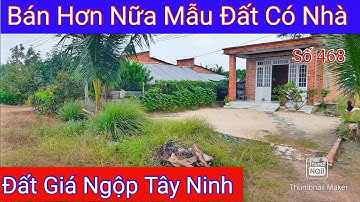 Bán Nữa Mẫu Đất Có Nhà Giá Rẻ Xã Phước Ninh Huyện Dương Minh Châu Tây Ninh