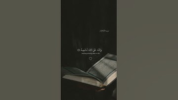 آيات القرآن الكريم ماتيسر من القرآن #love #quran #reels #dubai #متابعه #قران_كريم #edit #تذكار