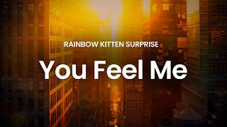 Rainbow Kitten Surprise - You Feel Me (lyrics)