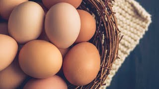 أسعار البيض اليوم الخميس والدجاج والخضار والفاكهة في مصر