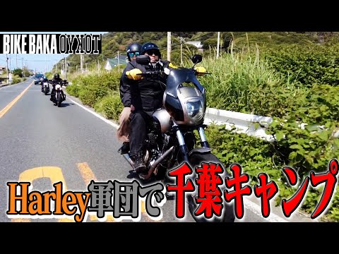 ローライダーST！ダイナ！８８３！ハーレー大集合‼️千葉でバイクキャンプ🔥