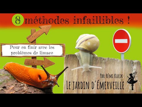 Vidéo: Attention aux limaces ! Les combattre est un must