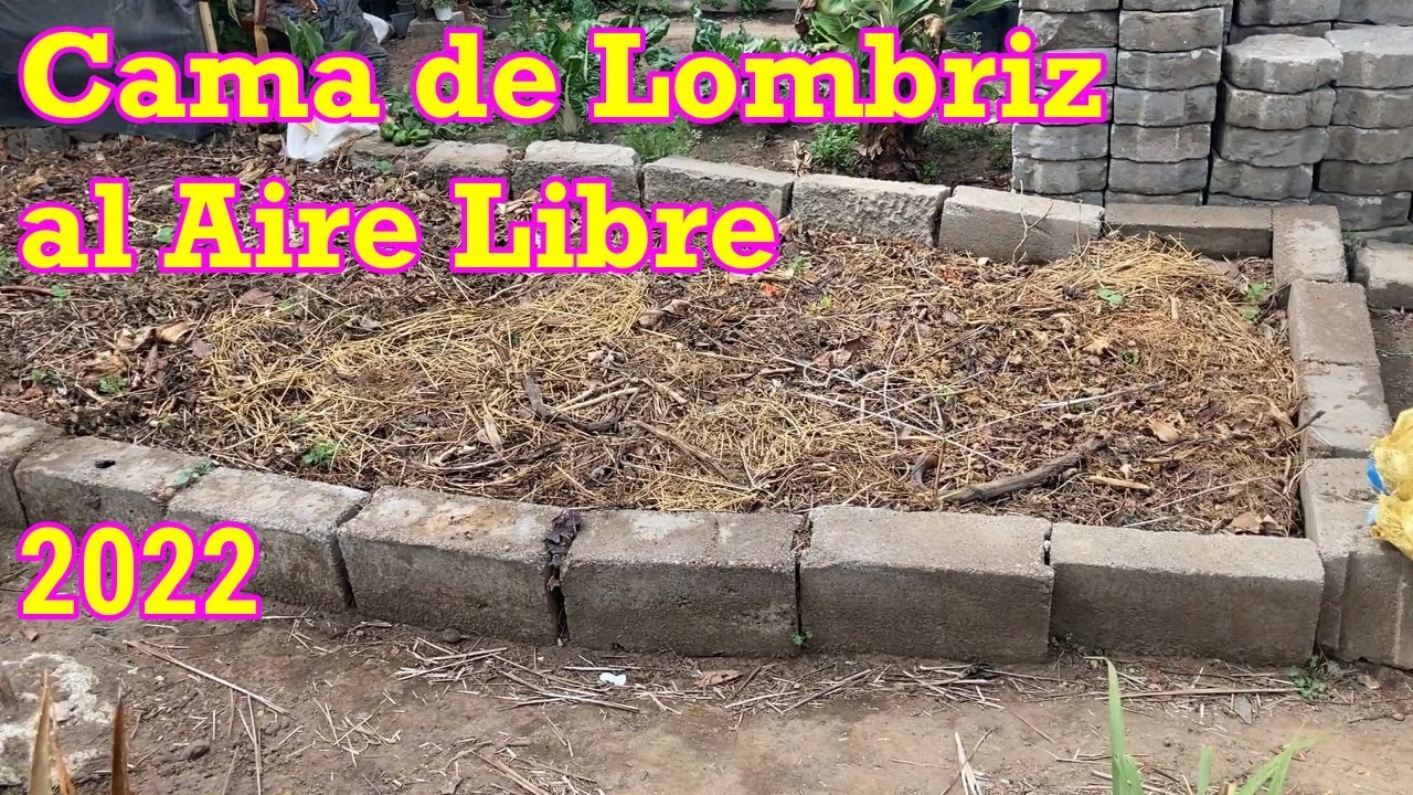Como Iniciar una Cama de Lombriz al Aire Libre.  Parte 1 año 2022 (27) #lombrices