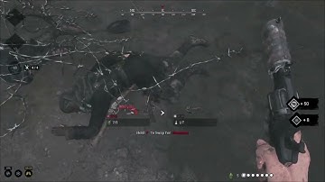 Hunt: Showdown Highlights - Challenge Farming Encounters