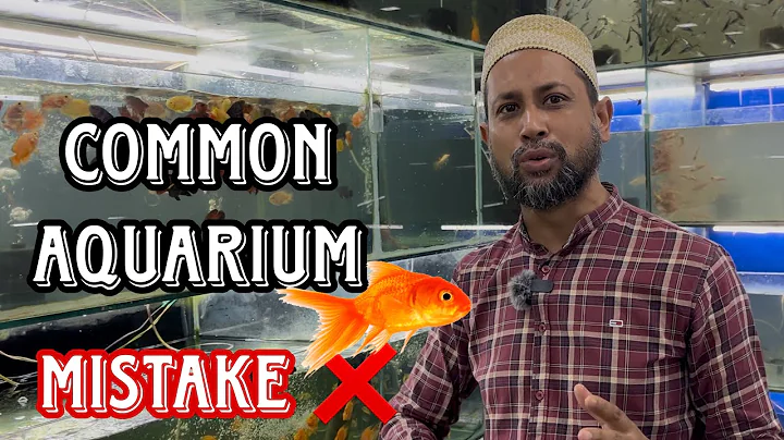 Don't Make This Mistake's 10 Most Common Fish Keeping Mistake Aquarium Mistakes! 