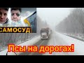 168) БЕСПРЕДЕЛ В РЯЗАНИ!!!НАЙТИ И ПОСАДИТЬ!!!