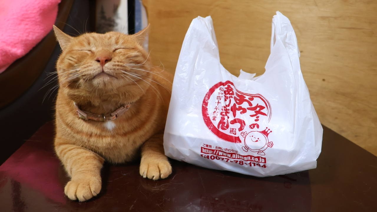 ちゃぶ台の上のあじまん 260218 - YouTube