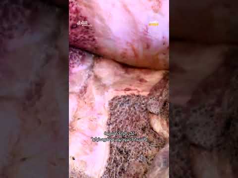 طبق لا يأكله الكثيرون