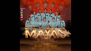 Video thumbnail of "RIMAY 𝐌𝐚𝐧𝐚𝐩𝐢𝐧𝐤𝐚 & 𝐑𝐢𝐫𝐤𝐚𝐧𝐠𝐢 𝐀𝐔𝐃𝐈𝐎 𝐄𝐍 𝐕𝐈𝐕𝐎🔴  Grupo "Mayas"."
