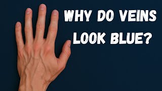 Why do veins look blue?