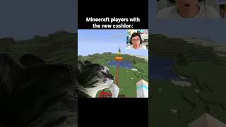 Minecraft Cushion Update Moment