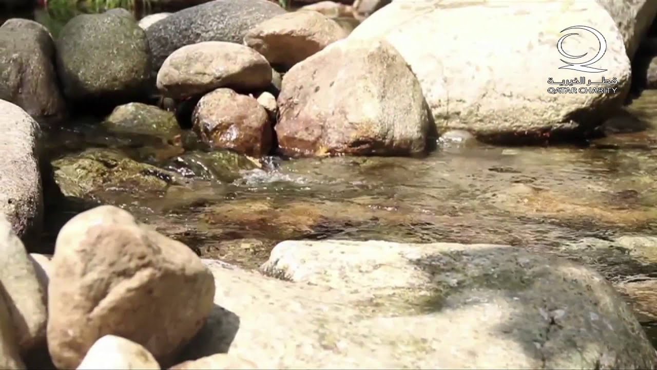 الحلقة 11 برنامج يا الله ( العظيم الحليم الشافي الشكور ) نبيل العوضي