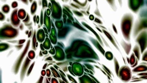 [VD002] 26 el-vis - molecules (s_kupers remix)