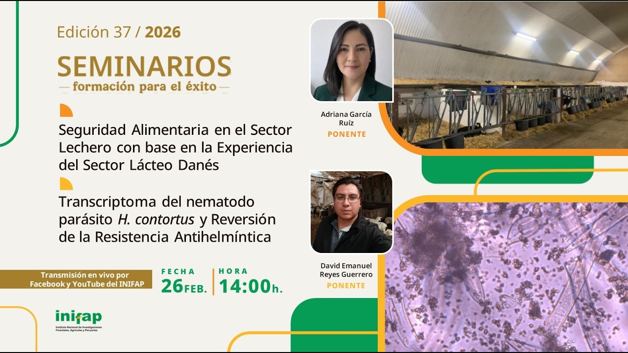 Seminarios, formación para el éxito| Edición 37