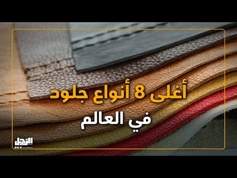 أغلى 8 أنواع جلود في العالم