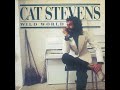 Cat Stevens   -   Wild World ( sub spañol )