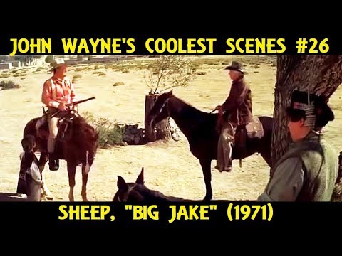 John Wayne's Coolest Scenes #26: Sheep, \