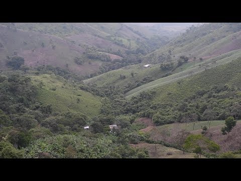 Especial Asesinadas en Nicaragua: Cuando los caminos son peligrosos