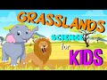 Grasslands Quiz